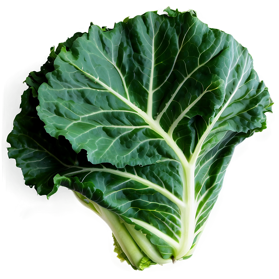 Detailed Collard Greens Png Vis23