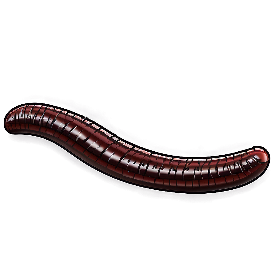 Detailed Earthworm Drawing Png Qoe