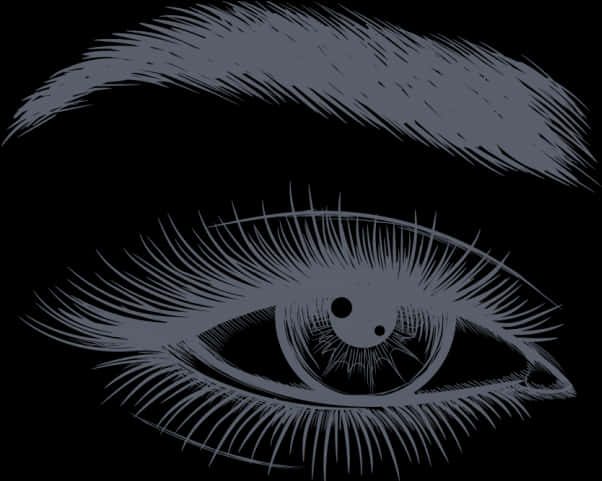 Detailed Eyeand Eyelashes Illustration
