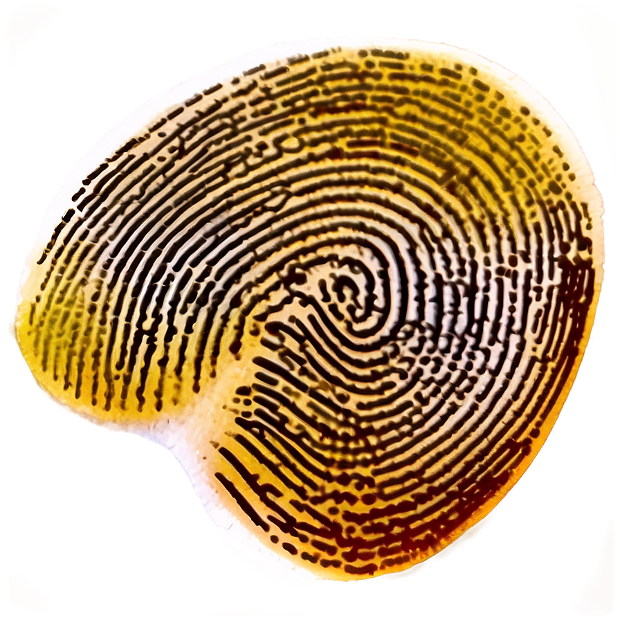 Detailed Fingerprint Design Png Hxv10