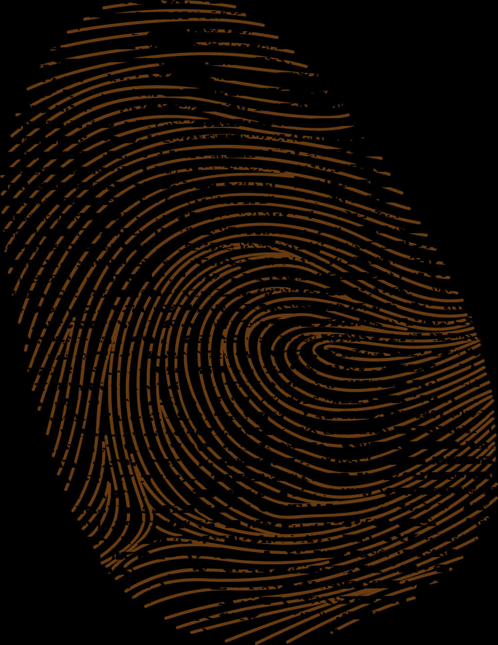 Detailed Fingerprint Pattern