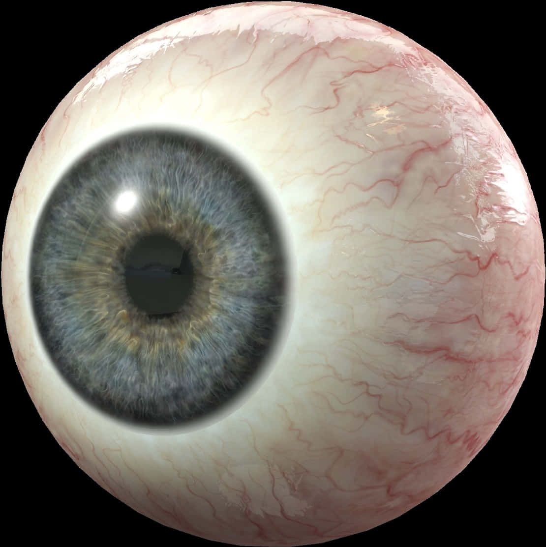 Detailed Human Eyeball Closeup