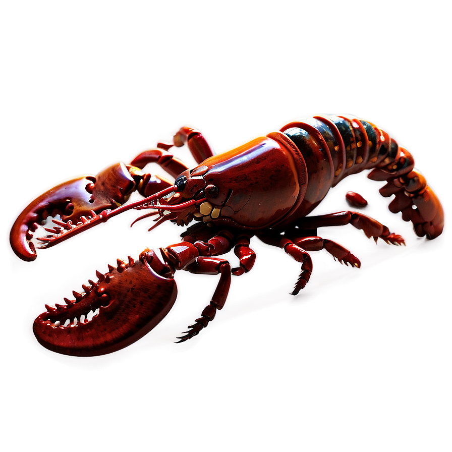 Detailed Lobster Png Cnl