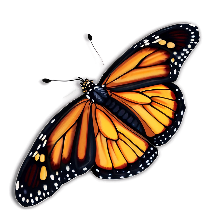 Detailed Monarch Butterfly Drawing Png 05252024