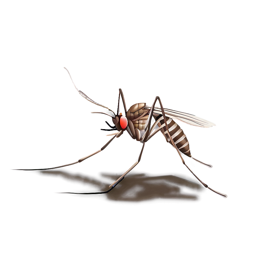 Detailed Mosquito Png 92