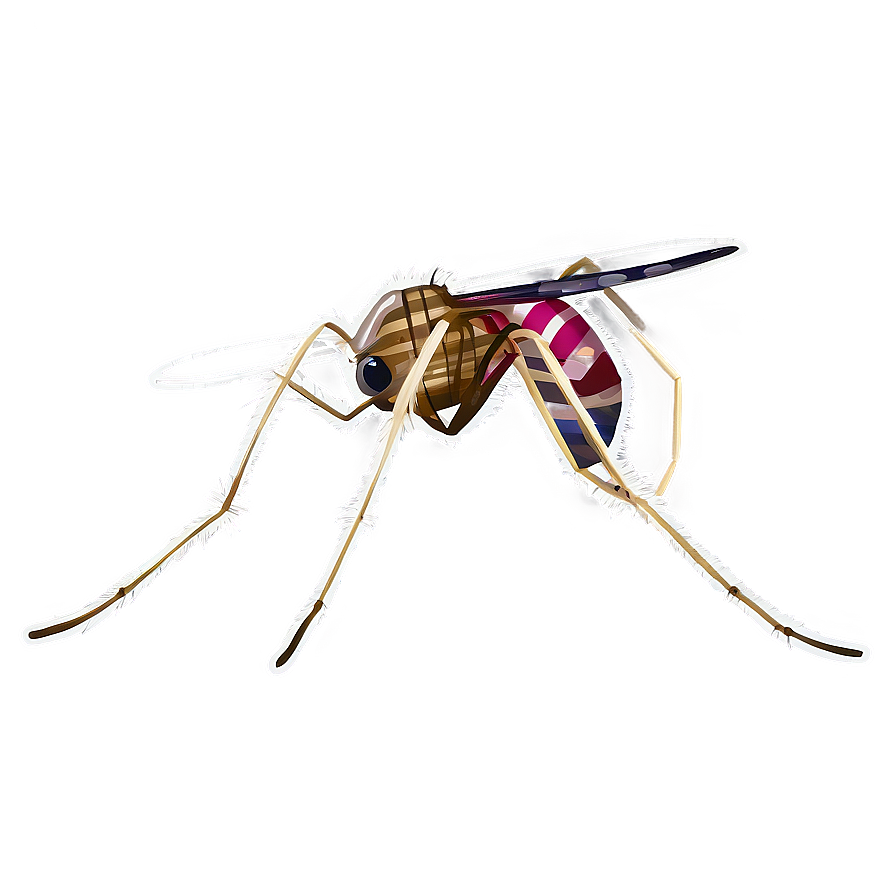 Detailed Mosquito Png Nku