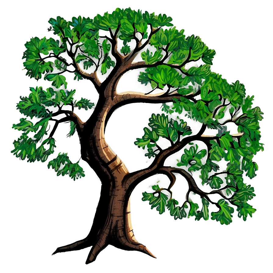 Detailed Oak Tree Drawing Png Srr