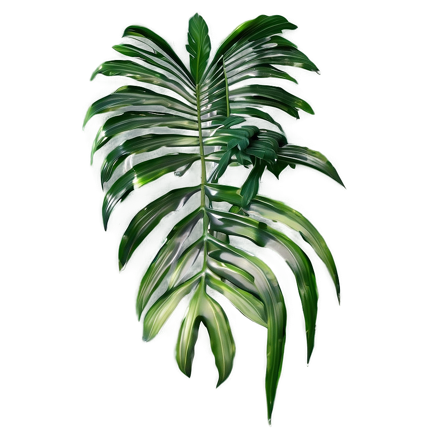 Detailed Palm Leaves Png 05252024