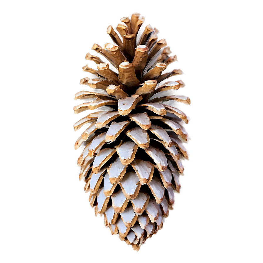 Detailed Pinecone Outline Png Nkn