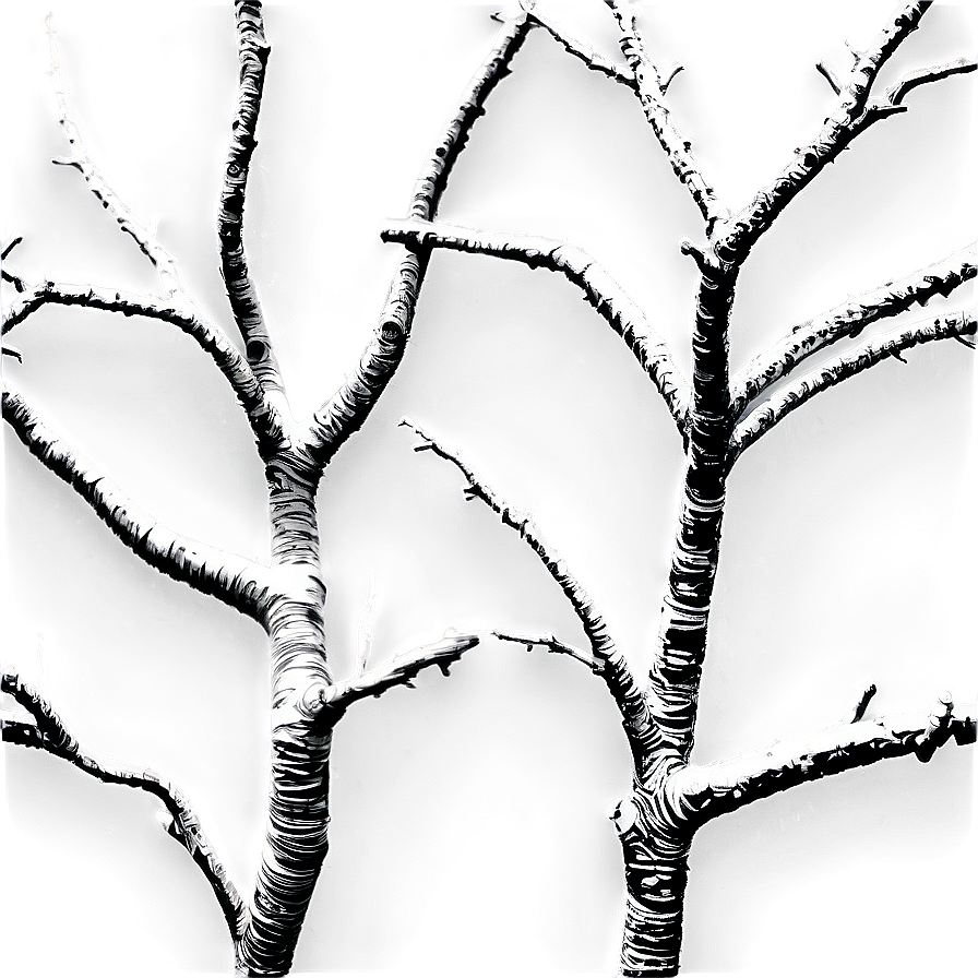 Detailed Tree Branches Png 78