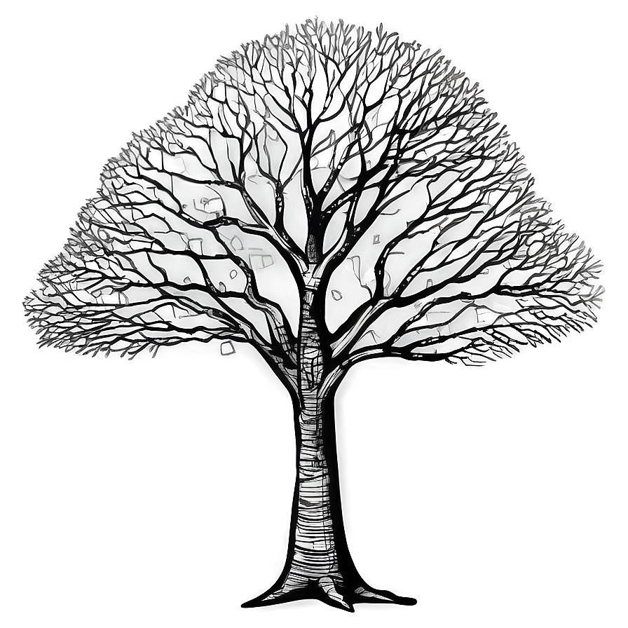 Detailed Tree Sketch Png 06122024