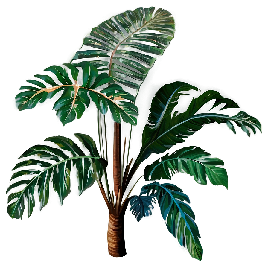 Detailed Tropical Plants Png Kyk