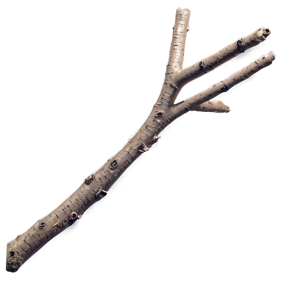 Detailed Twig Png Avg