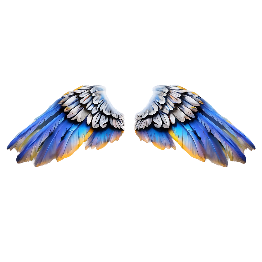 Detailed Wing Png Tqd