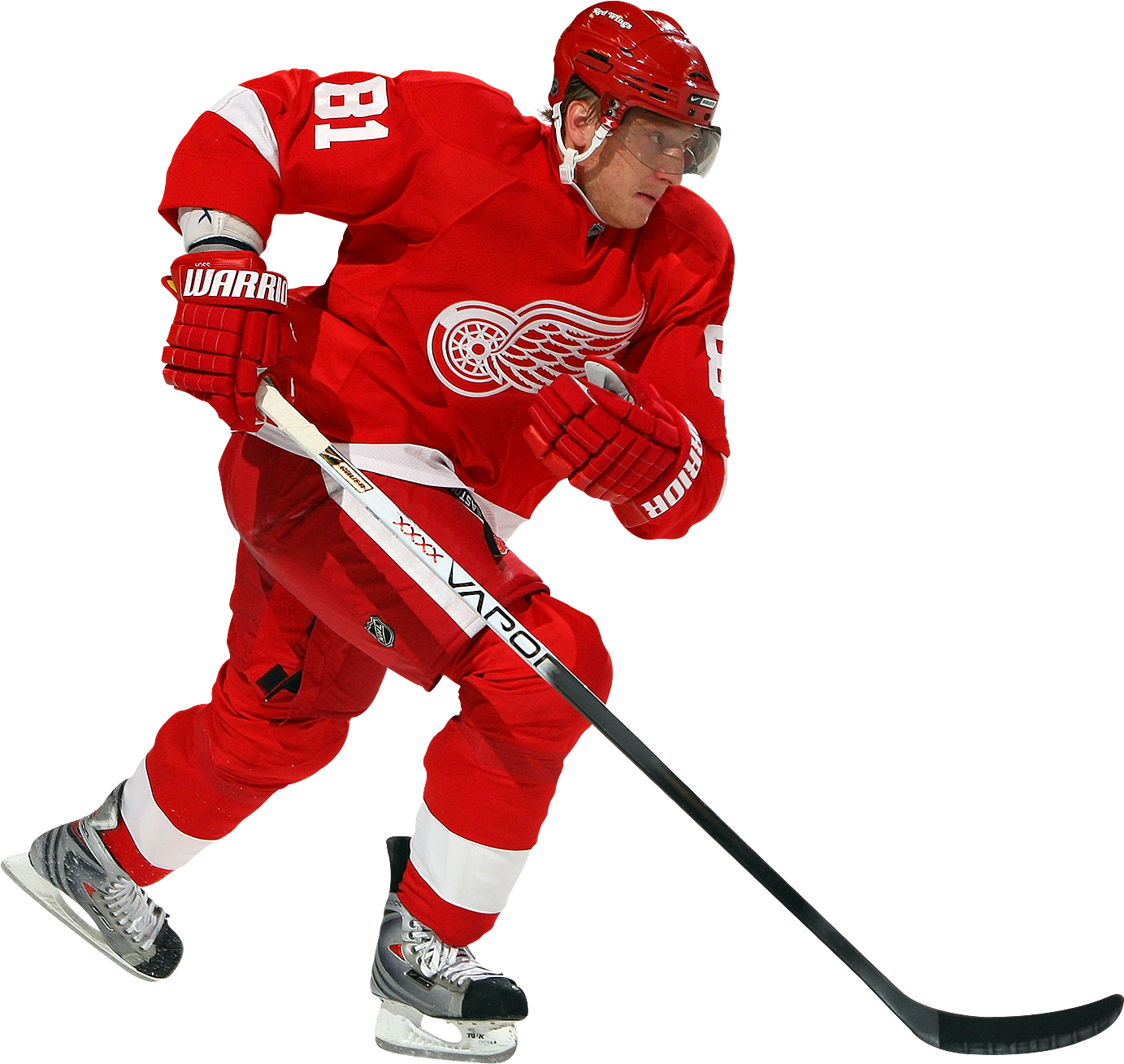 Detroit Red Wings Hockey Player Action