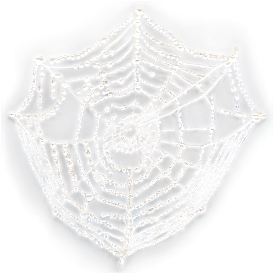 Dewy Cobweb Morning Png 59