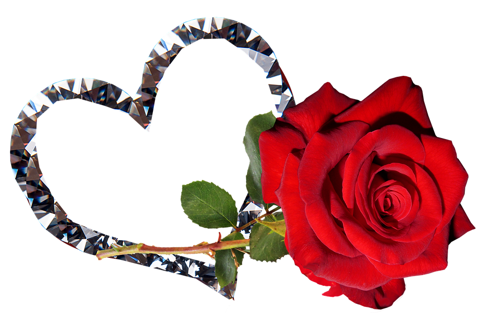 Diamond Heartand Red Rose