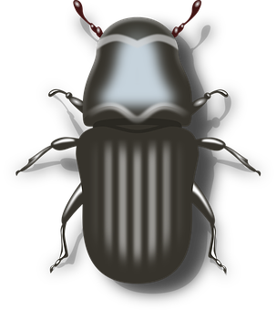 Digital Art Beetle Illustration