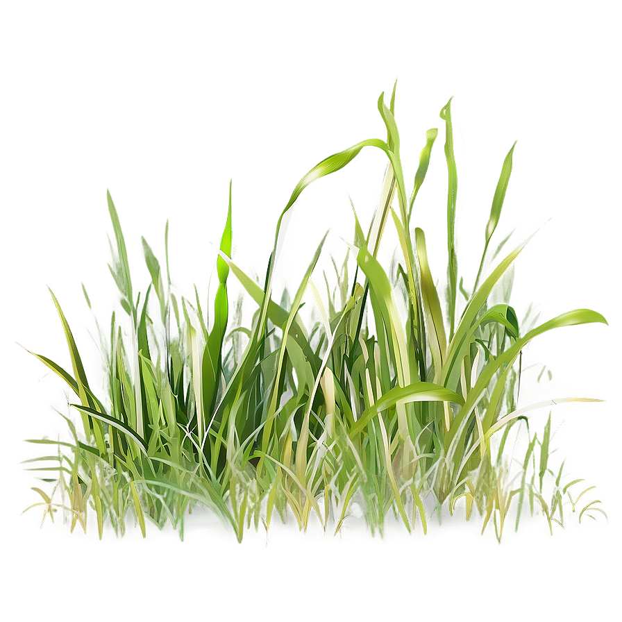 Digital Grass Clipart Png 94