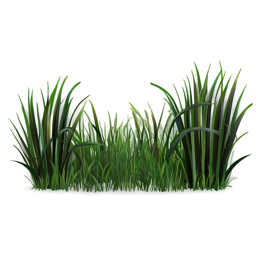 Digital Grass Clipart Png Xbf67