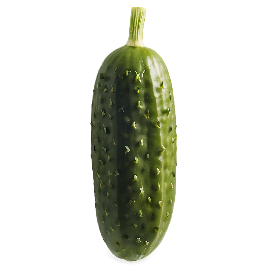 Dill Pickle With Dill Herb Png Tvu93