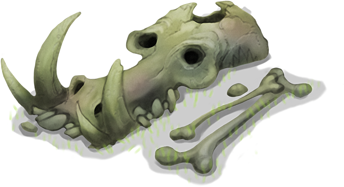 Dinosaur Skull Fossil Illustration