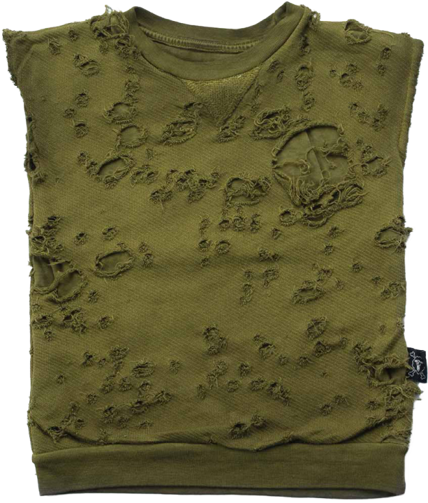 Distressed Green Blouse Texture