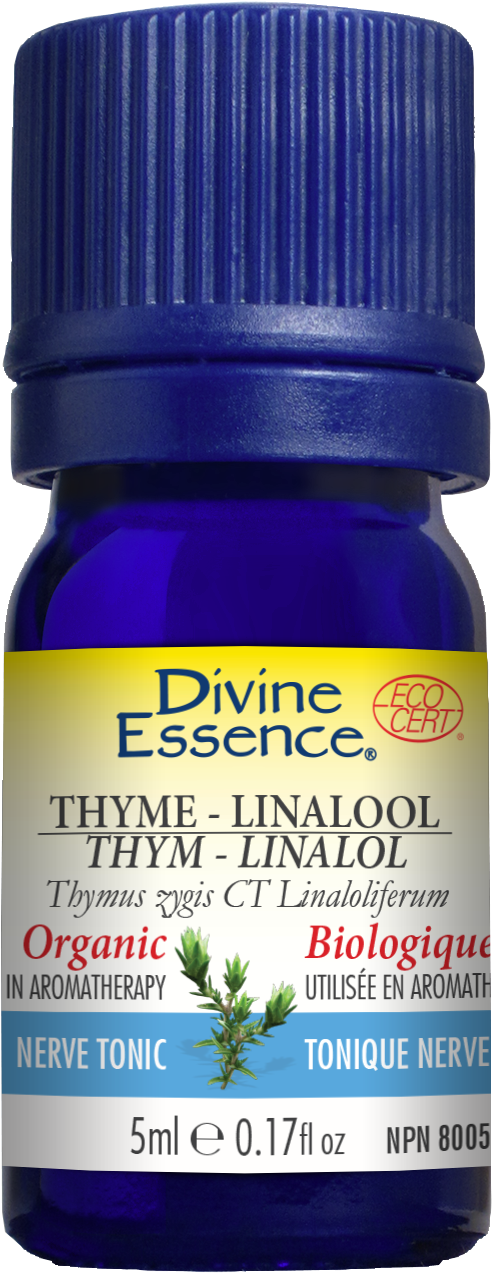 Divine Essence Thyme Linalool Essential Oil