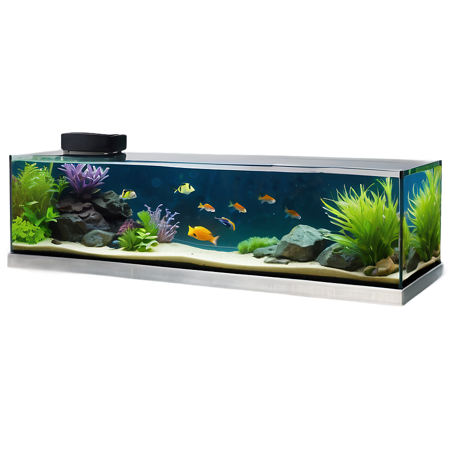 Diy Fish Tank Png 06122024