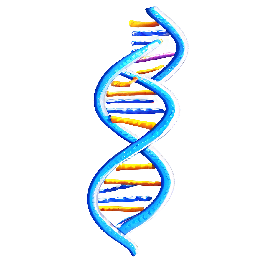 Dna Helix Model Png 63