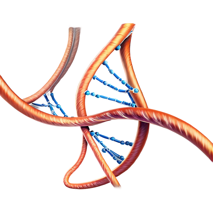 Dna Structure Science Png 05212024