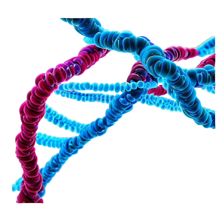 Dna Structure Science Png 05212024