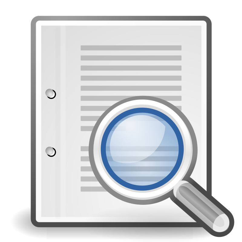 Document Magnifying Glass Icon