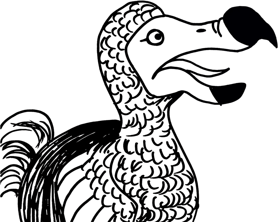 Dodo Bird Illustration