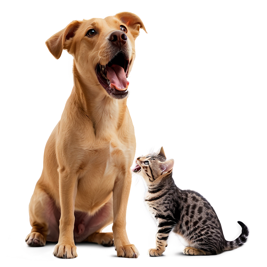 Dog Barking At Cat Png 56