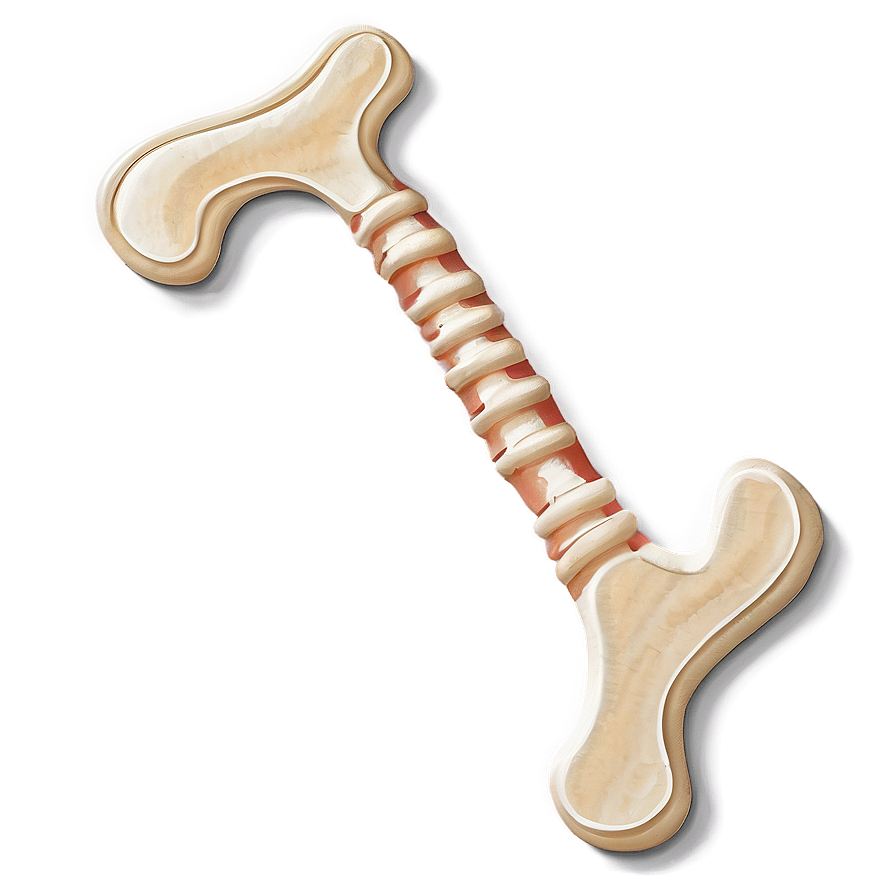 Dog Bone Drawing Png 85