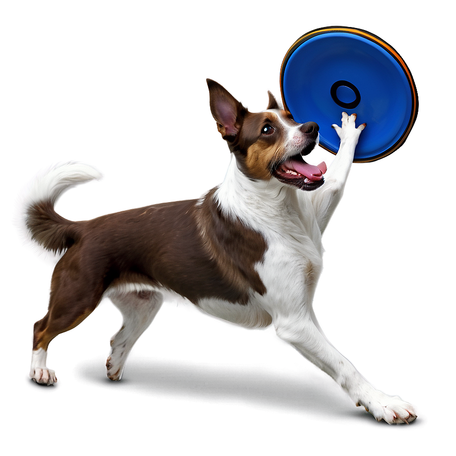 Dog Catching Frisbee Png Jdg98