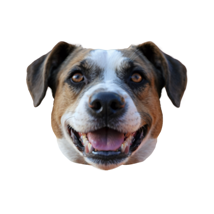 Dog Face Filter Effect Png Nwg25