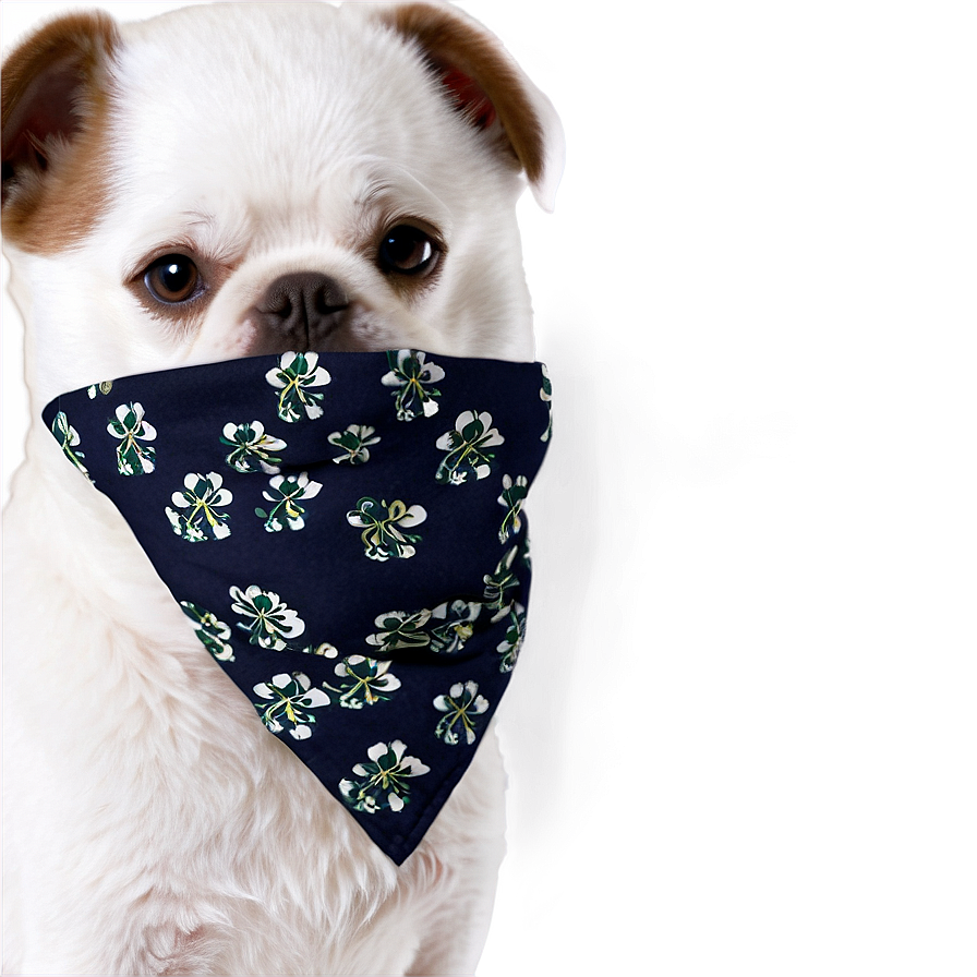 Dog Face With Bandana Png 06212024