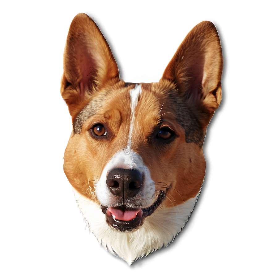 Dog Head Icon Png Oyw23