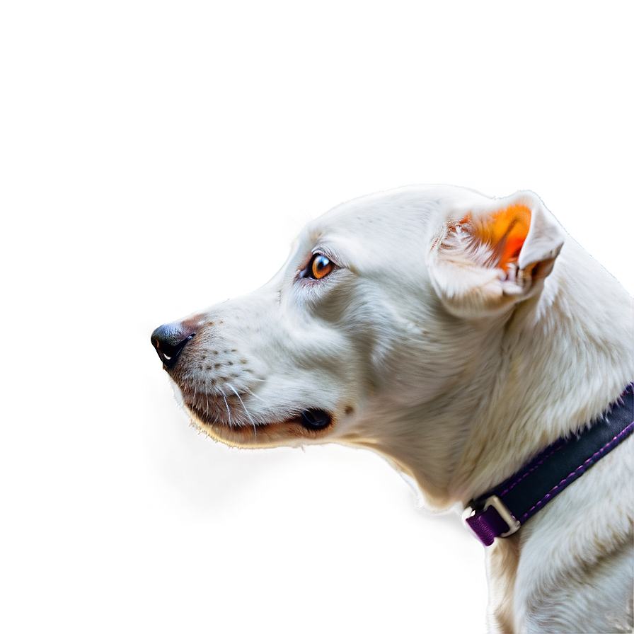 Dog Head Side View Png 79