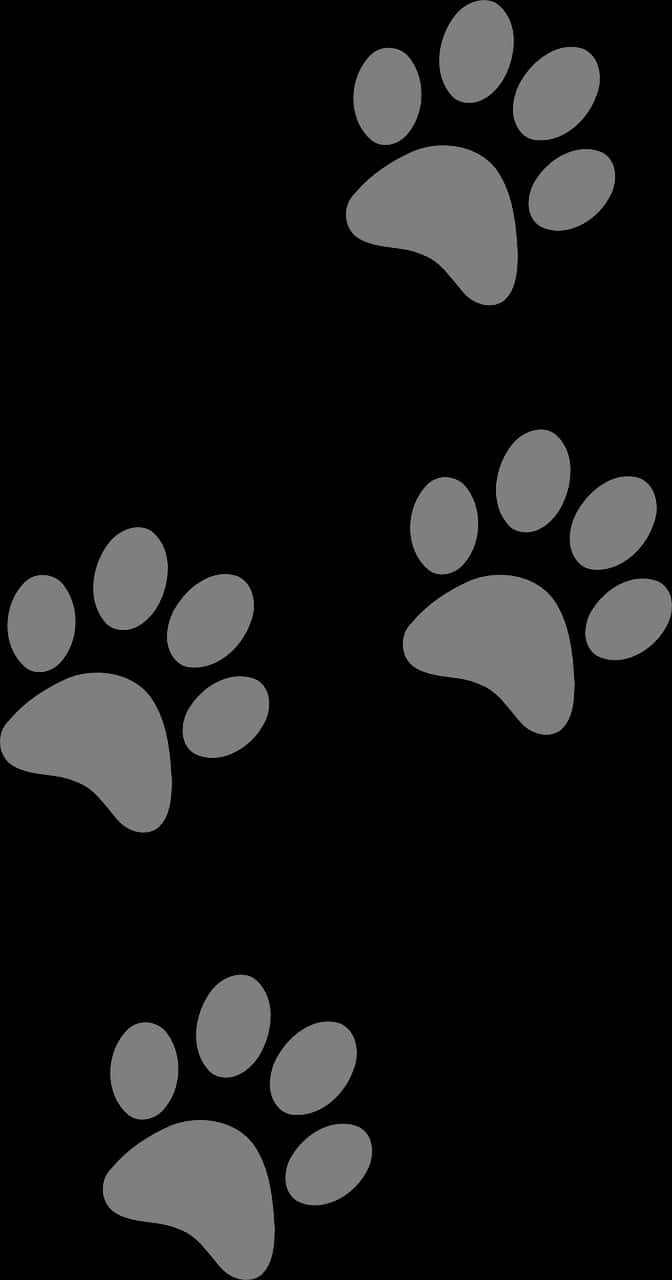 Dog Paw Prints Vector Illustration