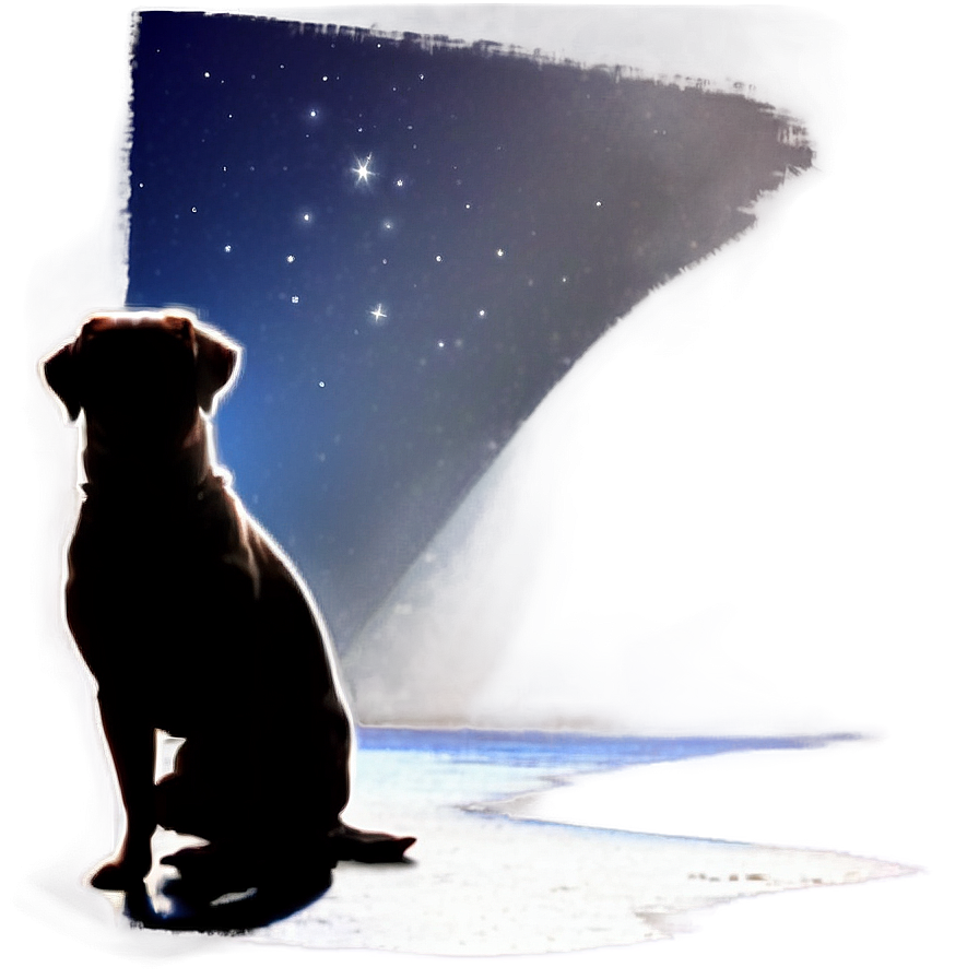 Dog Silhouette In Moonlight Png Jng