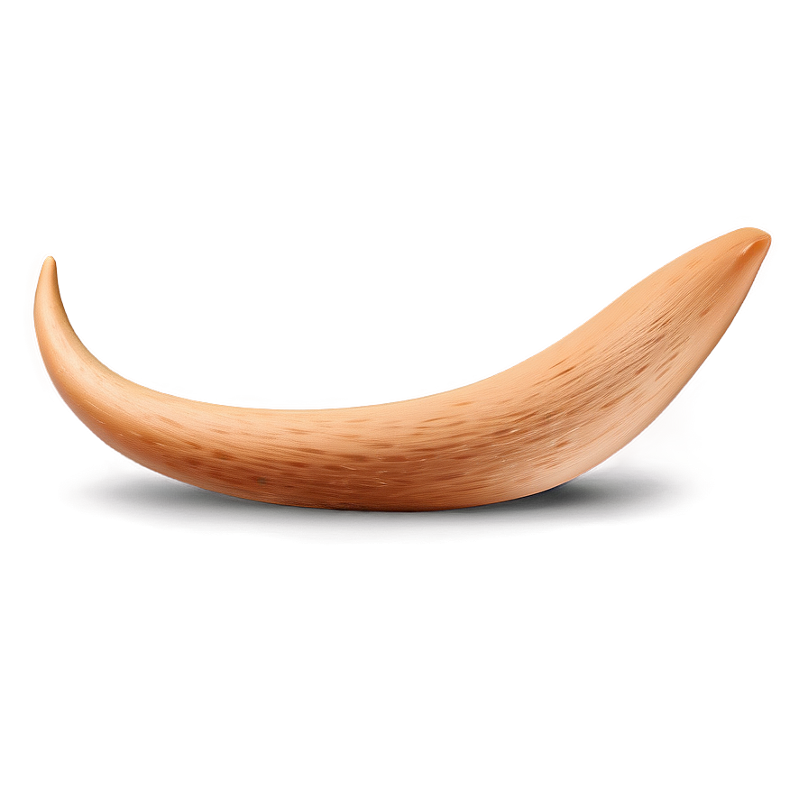 Dog Tail Png 06242024