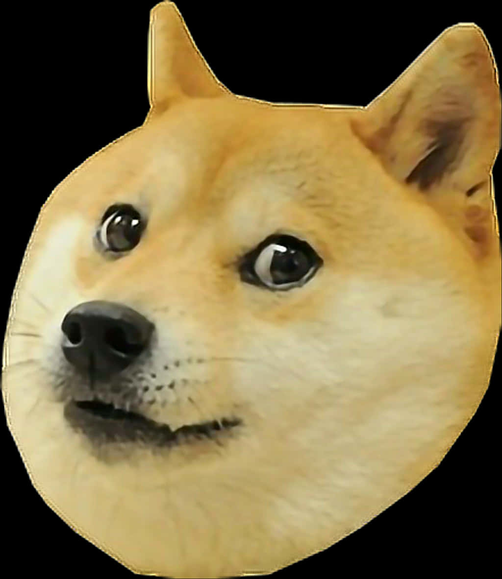 Doge Meme Iconic Shiba Inu