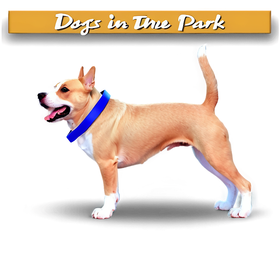 Dogs In The Park Png Saf