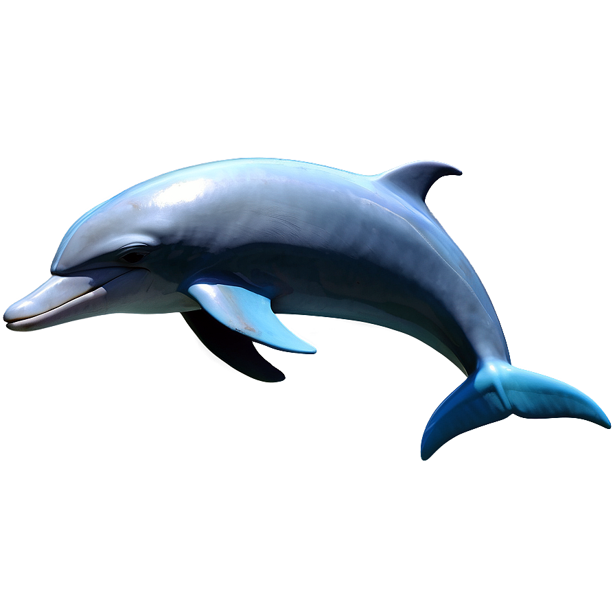 Dolphin Icon Png 75
