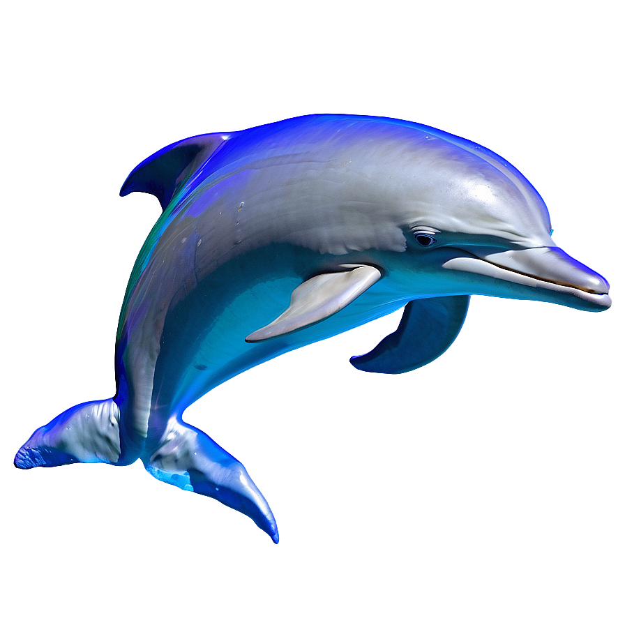 Dolphin In Water Png 05062024