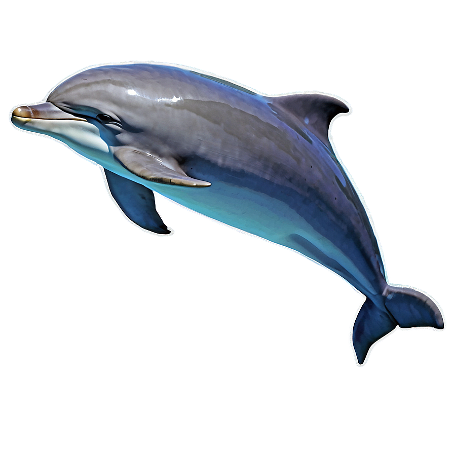 Dolphin Jump Png 96