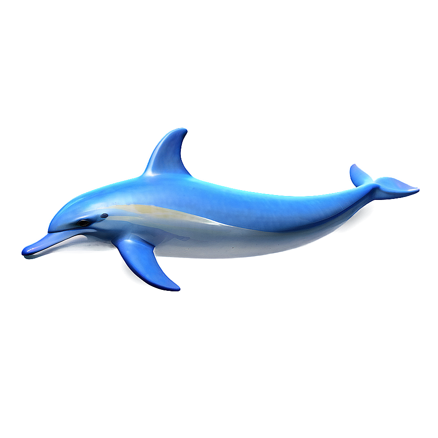 Dolphin Pattern Png 05062024